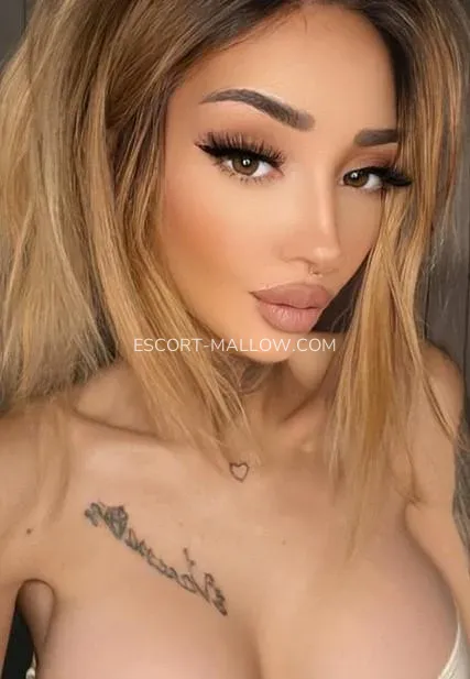 Escort Mallow Vanesa — 4