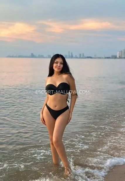 Escort Mallow Carmela — 1