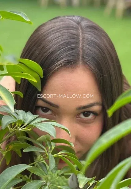 Escort Mallow Nevaeh — 1