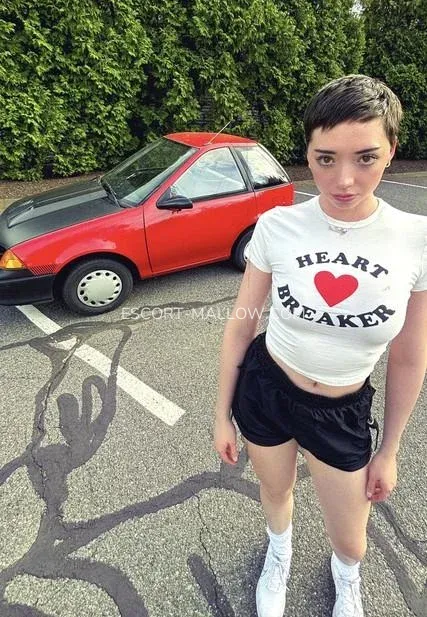 Escort Mallow Sofie — 1