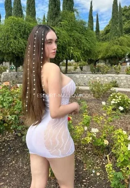 Escort Mallow Maj — 3