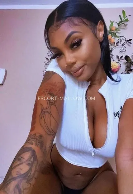 Escort Mallow Perpetua — 2