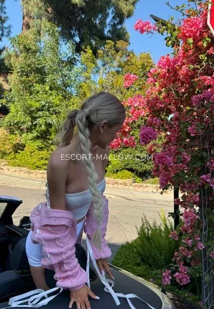 Escort Mallow Jennifer — 7