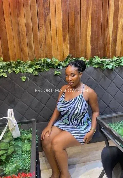Escort Mallow Monica — 1