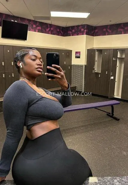 Escort Mallow Danielle — 7