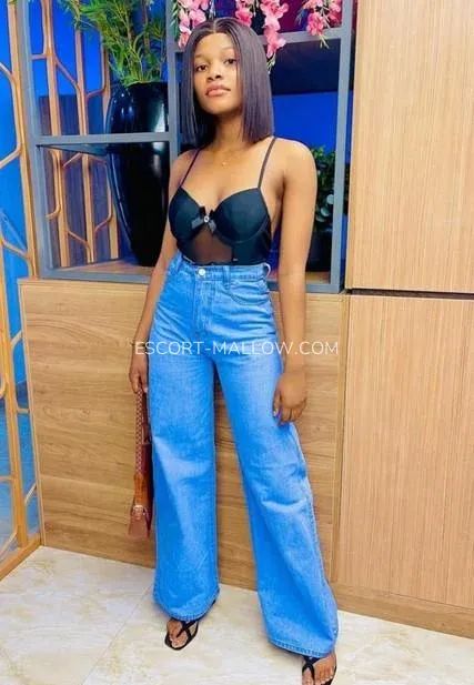 Escort Mallow Lily — 3