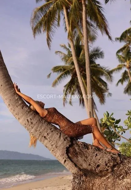 Escort Mallow Linda — 9